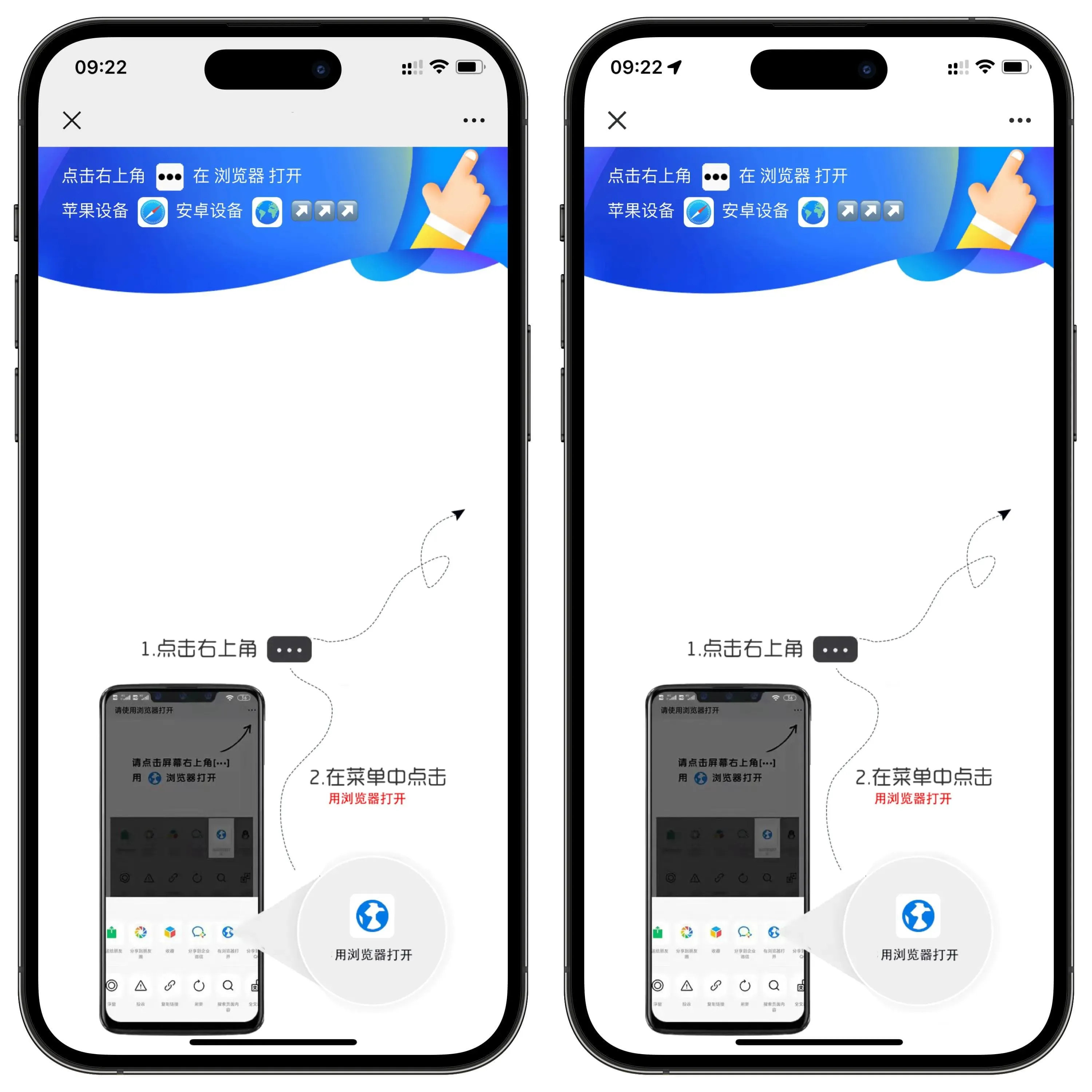 1000313980_compressed.jpg