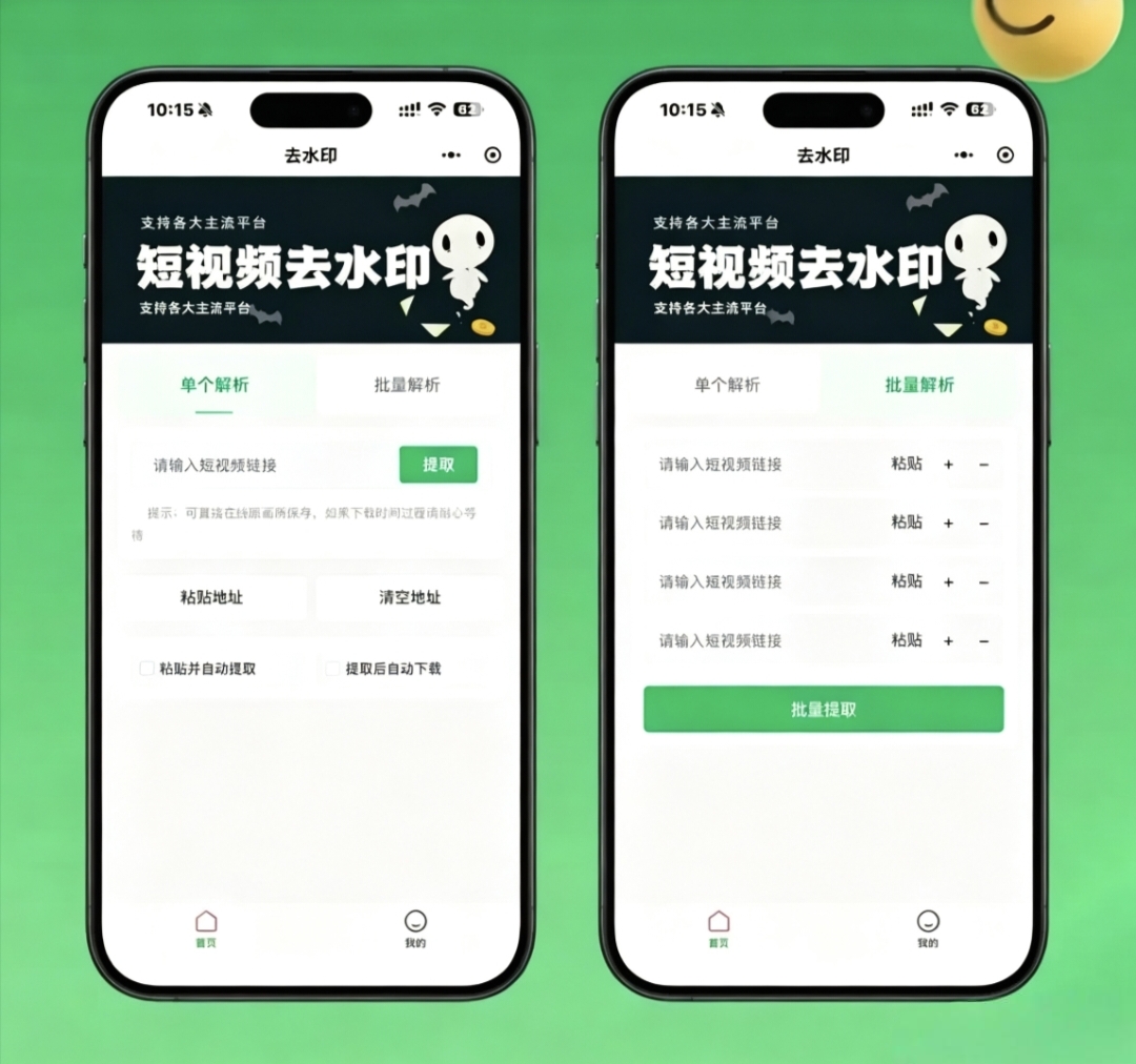 去水印小程序源码v1.6.5 微信流量主变现短视频解析小程序完整源码